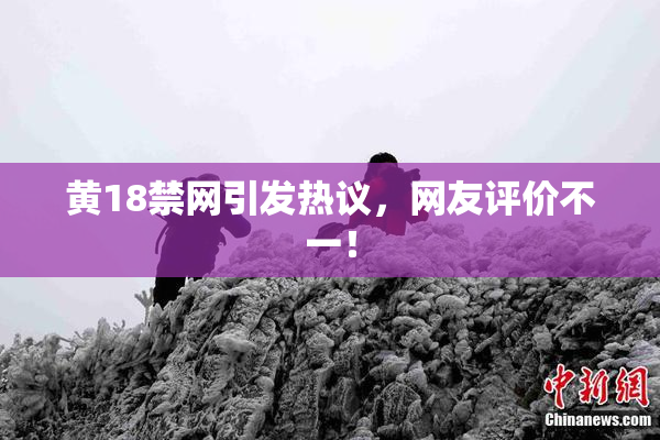 黄18禁网引发热议，网友评价不一！