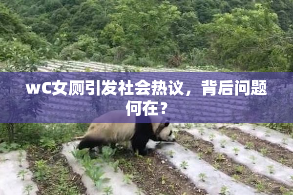 wC女厕引发社会热议，背后问题何在？