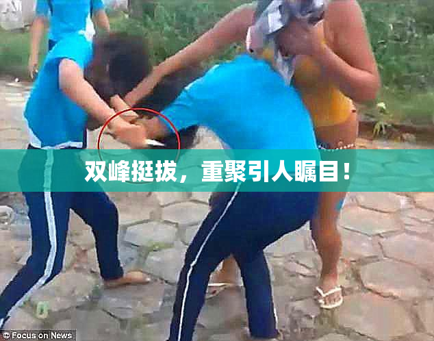 双峰挺拔，重聚引人瞩目！