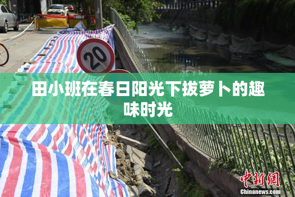 田小班在春日阳光下拔萝卜的趣味时光