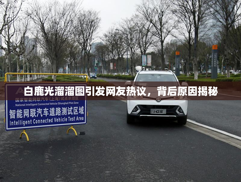白鹿光溜溜图引发网友热议，背后原因揭秘