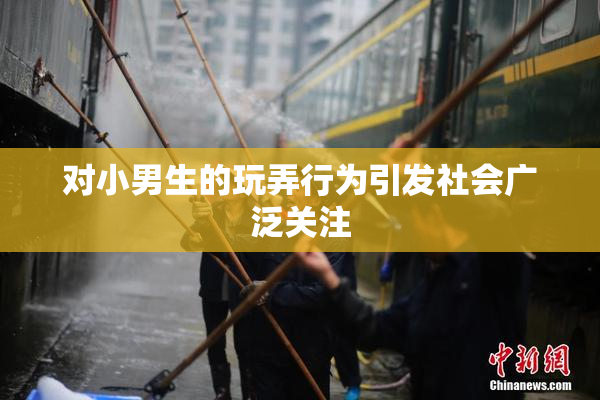 对小男生的玩弄行为引发社会广泛关注