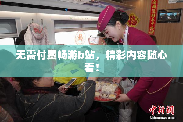 无需付费畅游b站，精彩内容随心看！