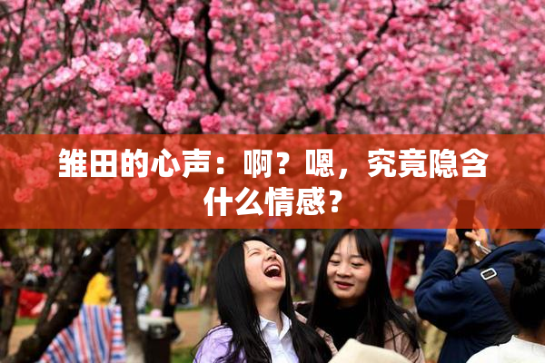 雏田的心声：啊？嗯，究竟隐含什么情感？