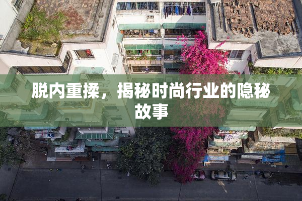 脱内重揉，揭秘时尚行业的隐秘故事