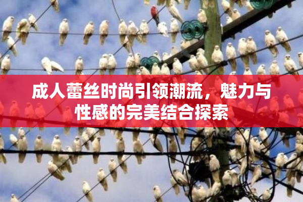 成人蕾丝时尚引领潮流，魅力与性感的完美结合探索