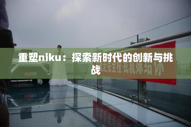 重塑niku：探索新时代的创新与挑战