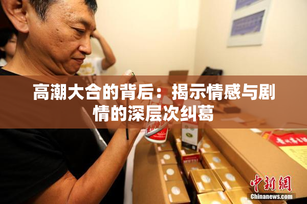 高潮大合的背后：揭示情感与剧情的深层次纠葛