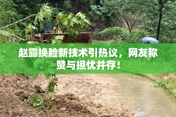 赵露换脸新技术引热议，网友称赞与担忧并存！