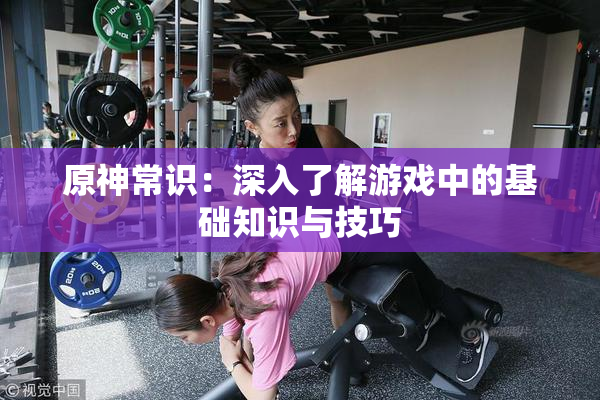 原神常识：深入了解游戏中的基础知识与技巧