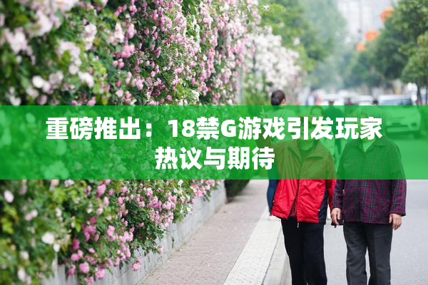 重磅推出：18禁G游戏引发玩家热议与期待