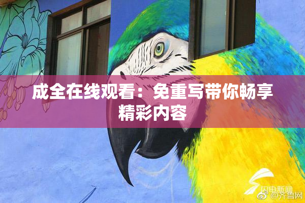 成全在线观看：免重写带你畅享精彩内容
