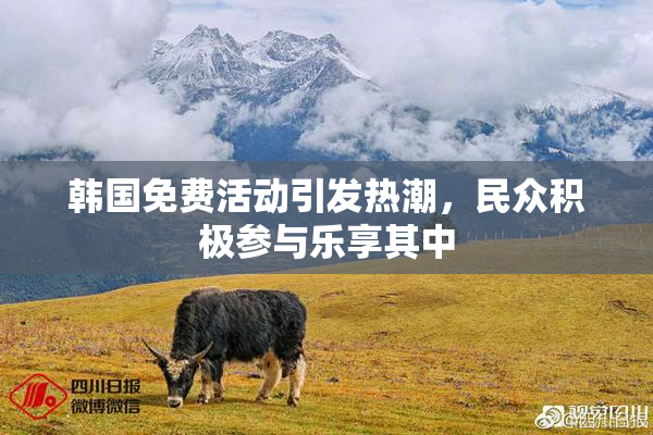韩国免费活动引发热潮，民众积极参与乐享其中