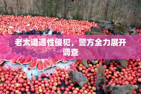 老太遭遇性侵犯，警方全力展开调查