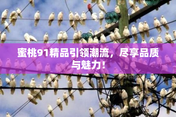 蜜桃91精品引领潮流，尽享品质与魅力！