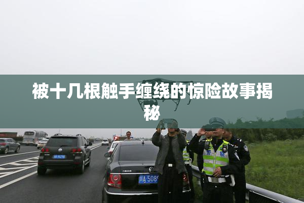 被十几根触手缠绕的惊险故事揭秘