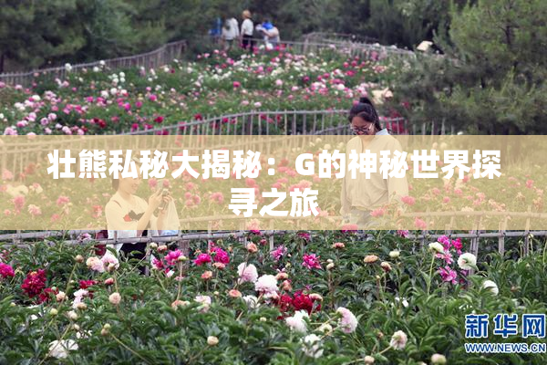 壮熊私秘大揭秘：G的神秘世界探寻之旅