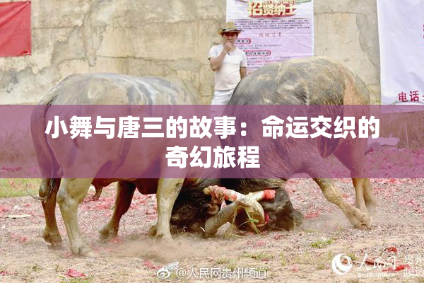 小舞与唐三的故事：命运交织的奇幻旅程