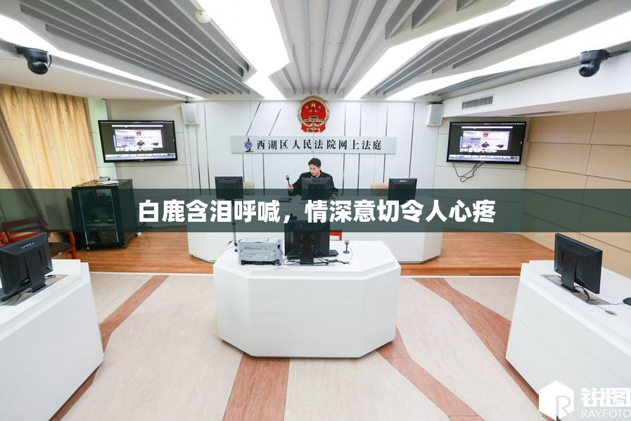 白鹿含泪呼喊，情深意切令人心疼