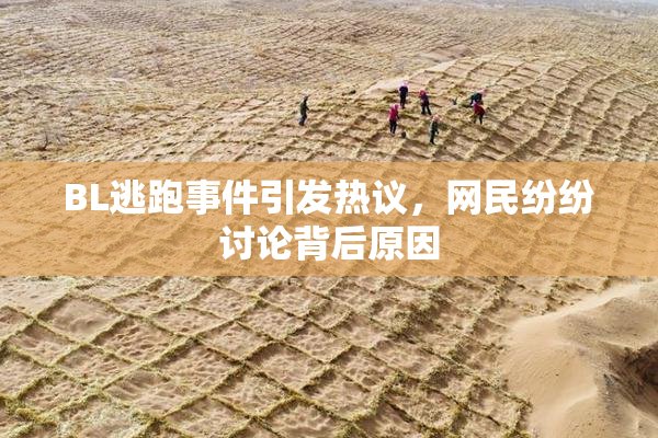 BL逃跑事件引发热议，网民纷纷讨论背后原因