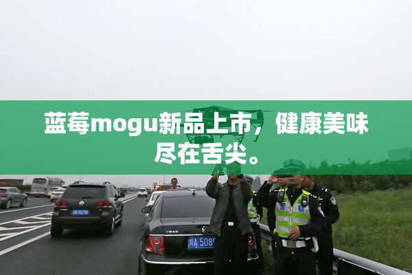 蓝莓mogu新品上市，健康美味尽在舌尖。