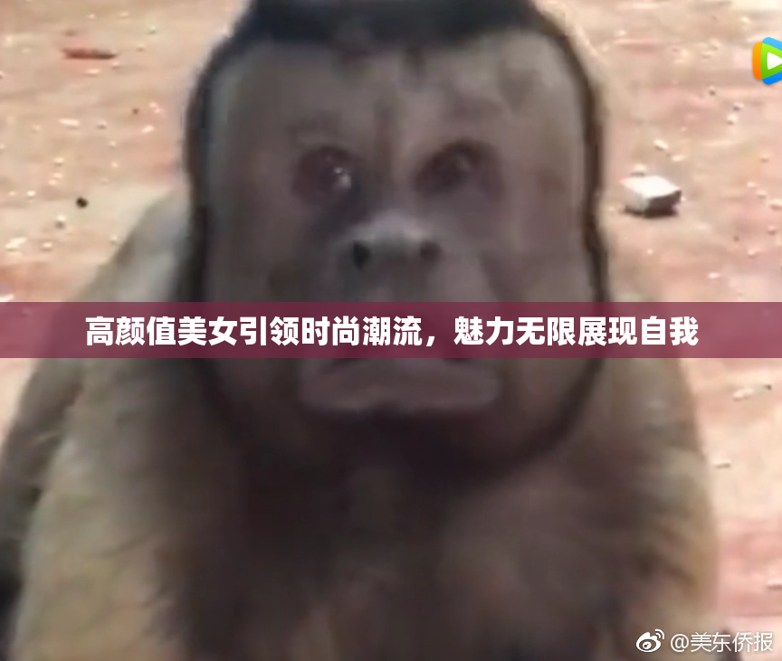 高颜值美女引领时尚潮流，魅力无限展现自我
