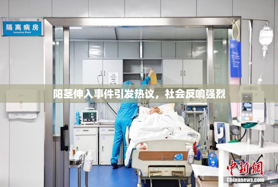 阳茎伸入事件引发热议，社会反响强烈