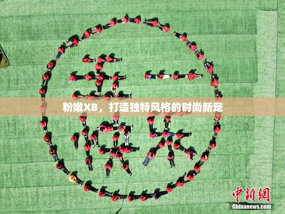 粉嫩XB，打造独特风格的时尚新宠