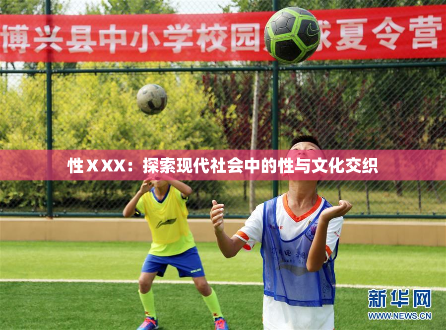 性ⅩXX：探索现代社会中的性与文化交织