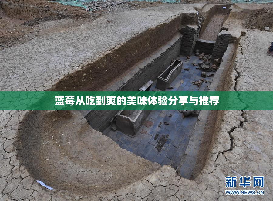 蓝莓从吃到爽的美味体验分享与推荐