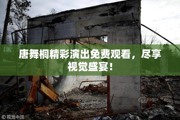 唐舞桐精彩演出免费观看，尽享视觉盛宴！