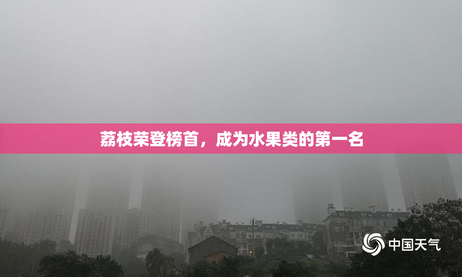 荔枝荣登榜首，成为水果类的第一名