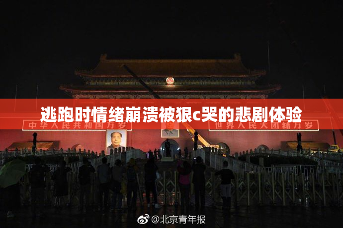 逃跑时情绪崩溃被狠c哭的悲剧体验