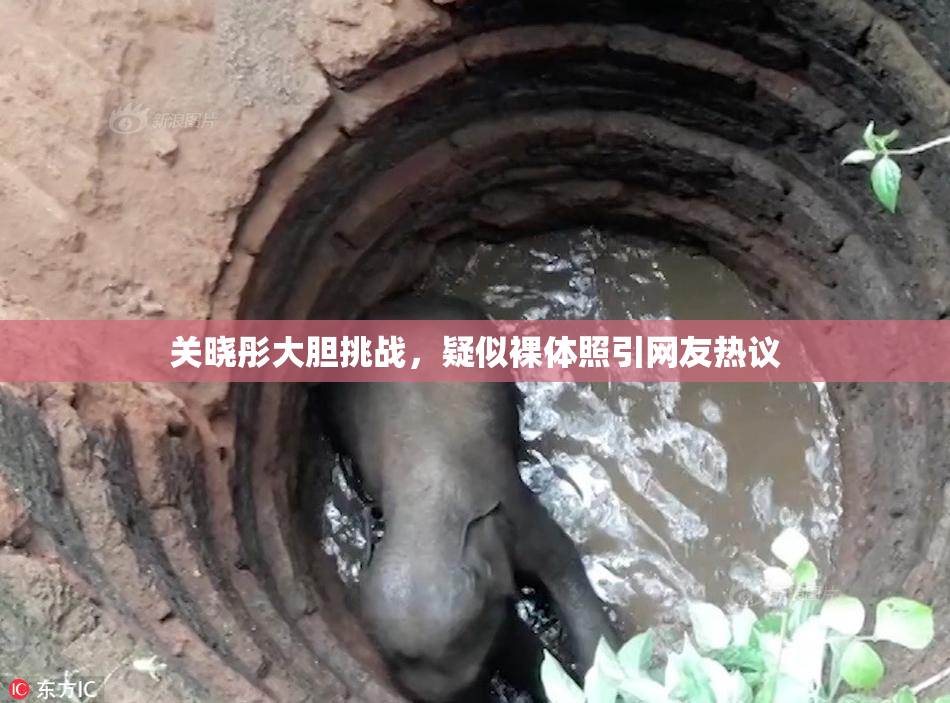 关晓彤大胆挑战，疑似裸体照引网友热议