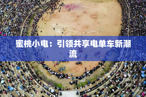蜜桃小电：引领共享电单车新潮流