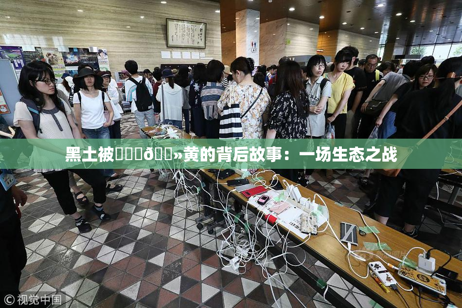 黑土被❌‌‌🐻黄的背后故事：一场生态之战