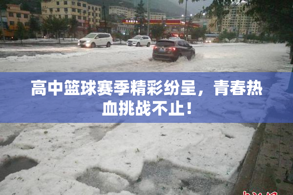 高中篮球赛季精彩纷呈，青春热血挑战不止！