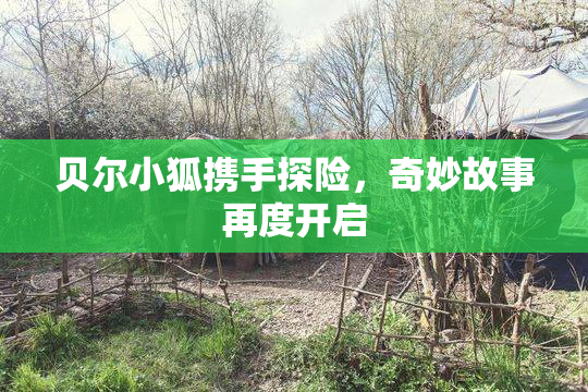 贝尔小狐携手探险，奇妙故事再度开启