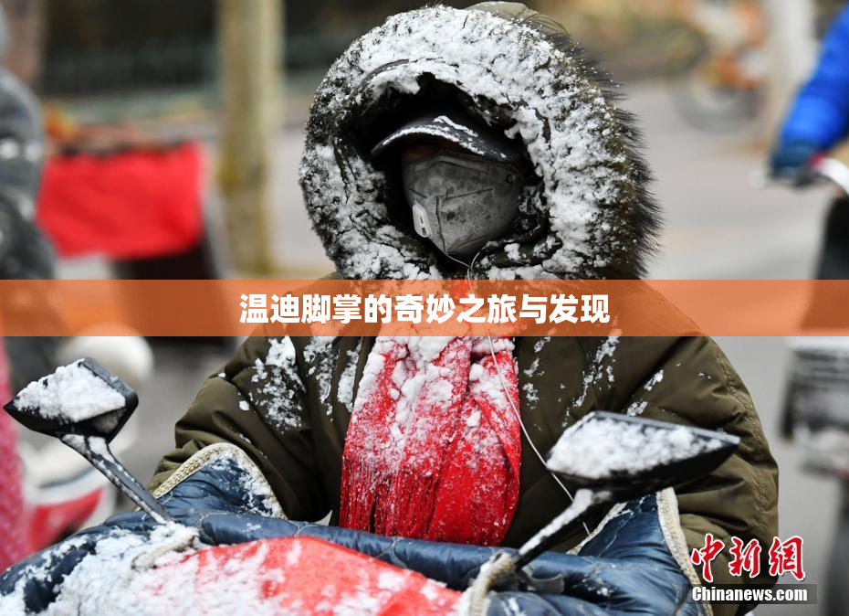 温迪脚掌的奇妙之旅与发现