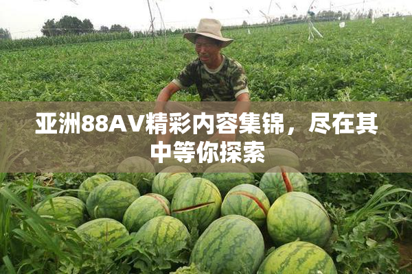 亚洲88AV精彩内容集锦，尽在其中等你探索