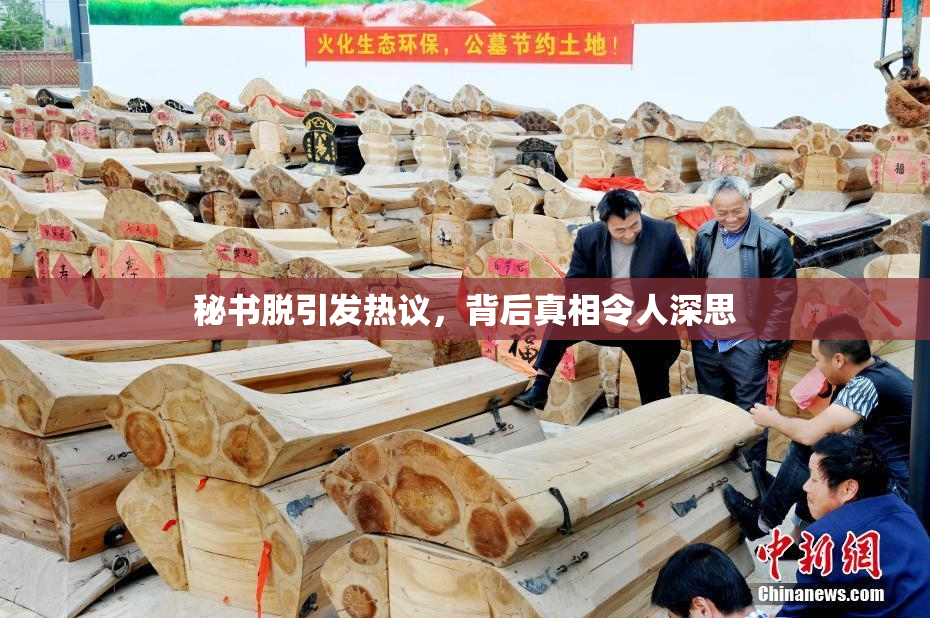 秘书脱引发热议，背后真相令人深思