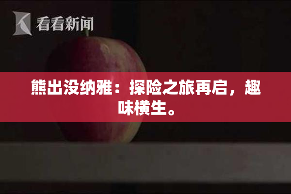 熊出没纳雅：探险之旅再启，趣味横生。