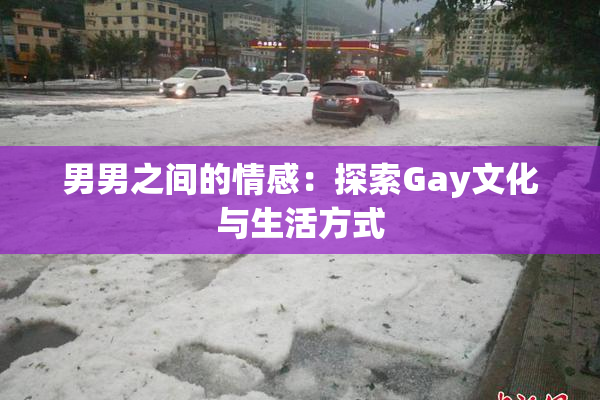 男男之间的情感：探索Gay文化与生活方式