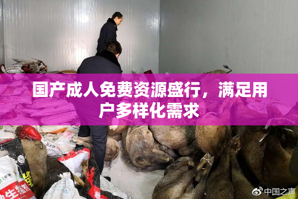 国产成人免费资源盛行，满足用户多样化需求