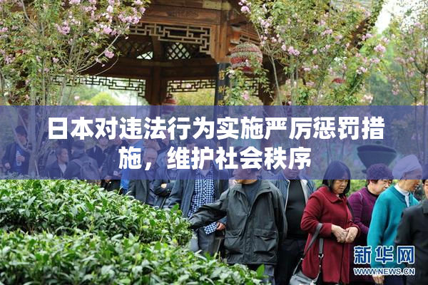 日本对违法行为实施严厉惩罚措施，维护社会秩序