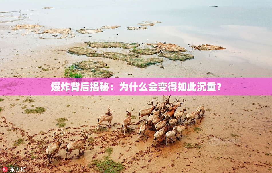 爆炸背后揭秘：为什么会变得如此沉重？