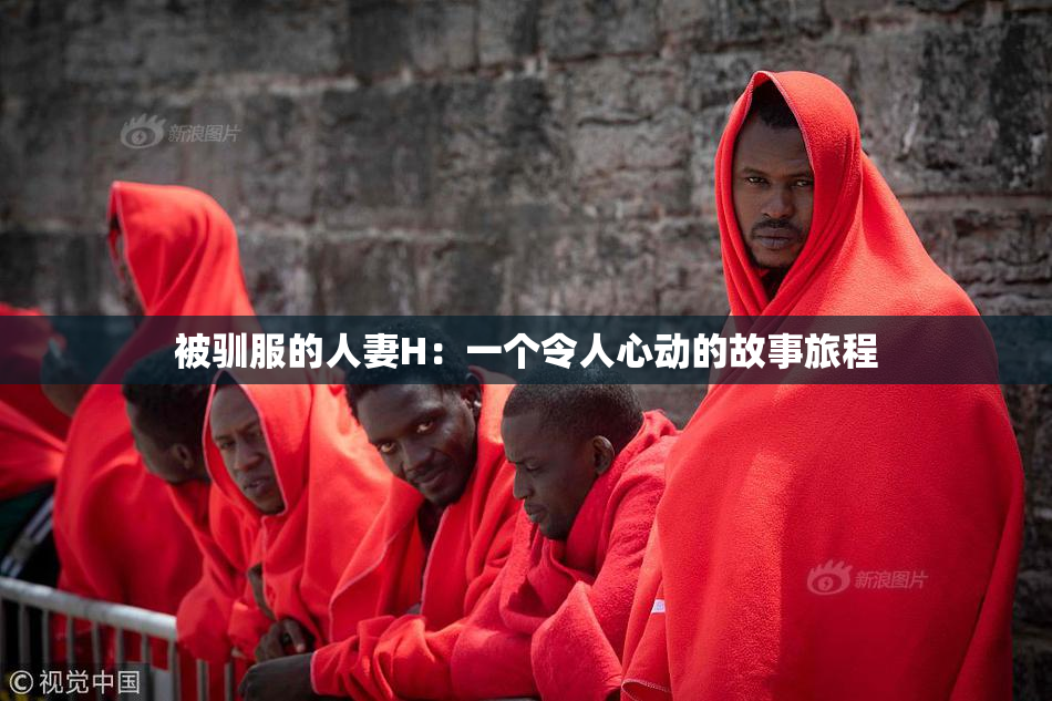 被驯服的人妻H：一个令人心动的故事旅程