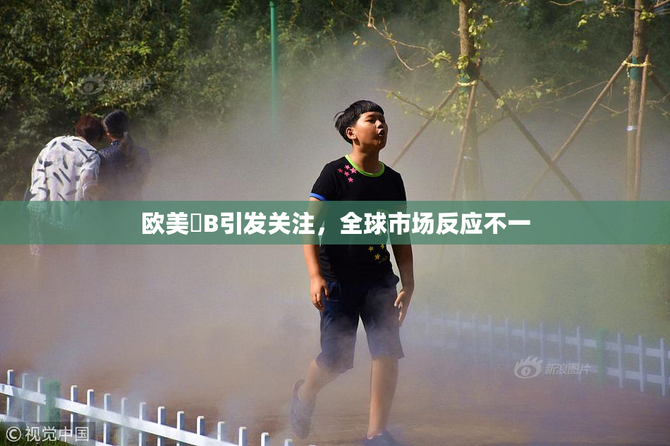欧美槡B引发关注，全球市场反应不一