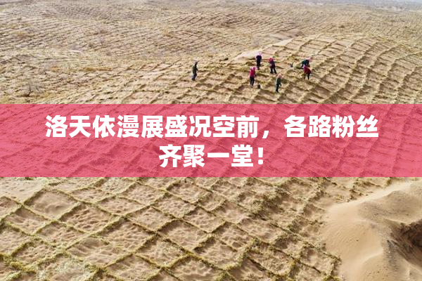 洛天依漫展盛况空前，各路粉丝齐聚一堂！