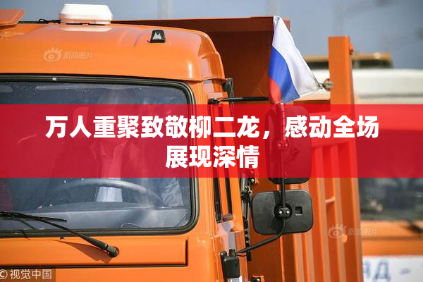 万人重聚致敬柳二龙，感动全场展现深情